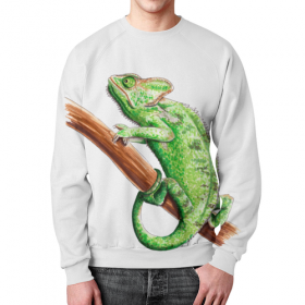 full_print_sweatshirt с принтом Зеленый хамелеон на ветке в Калуге,  |  | 